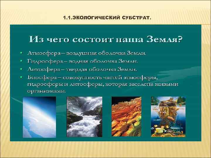 1. 1. ЭКОЛОГИЧЕСКИЙ СУБСТРАТ. 