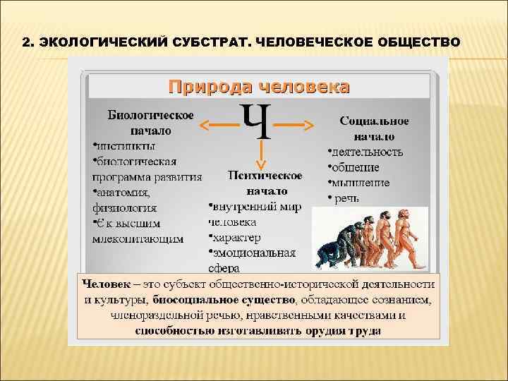 2. ЭКОЛОГИЧЕСКИЙ СУБСТРАТ. ЧЕЛОВЕЧЕСКОЕ ОБЩЕСТВО 