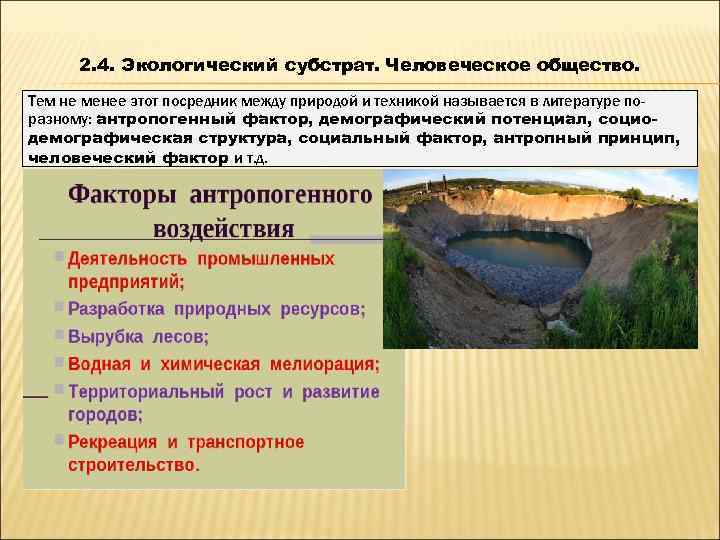  2. 4. Экологический субстрат. Человеческое общество. Тем не менее этот посредник между природой