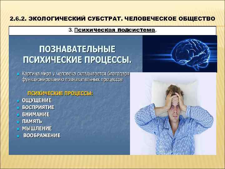 2. 6. 2. ЭКОЛОГИЧЕСКИЙ СУБСТРАТ. ЧЕЛОВЕЧЕСКОЕ ОБЩЕСТВО    3. Психическая подсистема. 