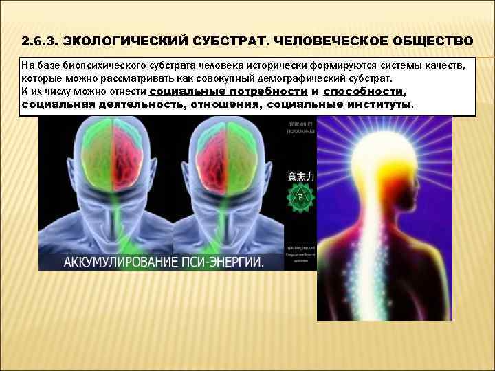 2. 6. 3. ЭКОЛОГИЧЕСКИЙ СУБСТРАТ. ЧЕЛОВЕЧЕСКОЕ ОБЩЕСТВО На базе биопсихического субстрата человека исторически формируются