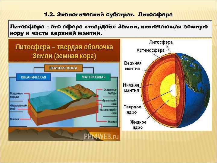    1. 2. Экологический субстрат. Литосфера – это сфера «твердой» Земли, включающая