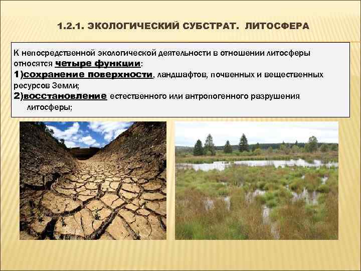    1. 2. 1. ЭКОЛОГИЧЕСКИЙ СУБСТРАТ. ЛИТОСФЕРА К непосредственной экологической деятельности в