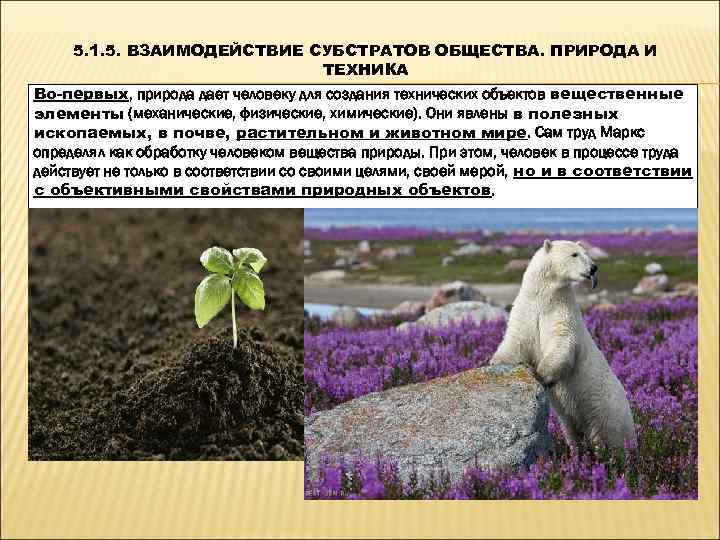  5. 1. 5. ВЗАИМОДЕЙСТВИЕ СУБСТРАТОВ ОБЩЕСТВА. ПРИРОДА И     ТЕХНИКА