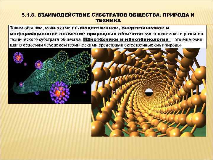   5. 1. 8. ВЗАИМОДЕЙСТВИЕ СУБСТРАТОВ ОБЩЕСТВА. ПРИРОДА И    