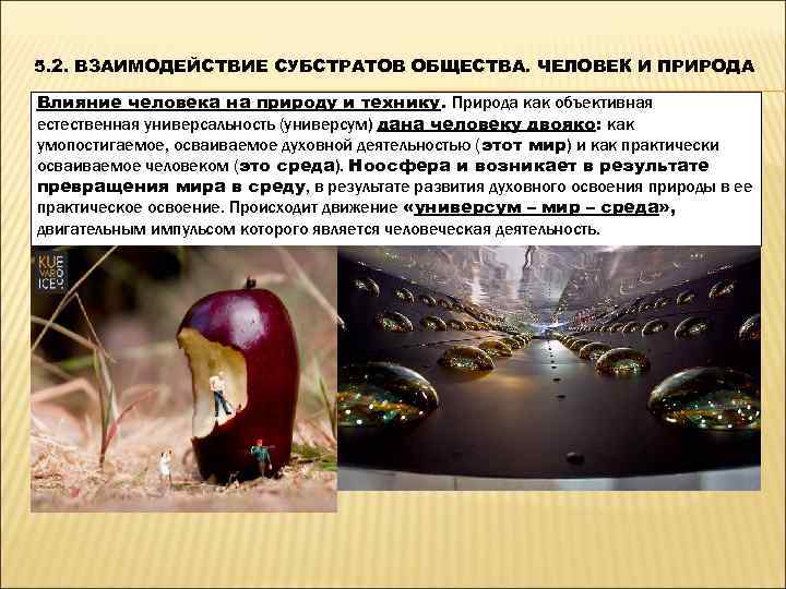 5. 2. ВЗАИМОДЕЙСТВИЕ СУБСТРАТОВ ОБЩЕСТВА. ЧЕЛОВЕК И ПРИРОДА Влияние человека на природу и технику.