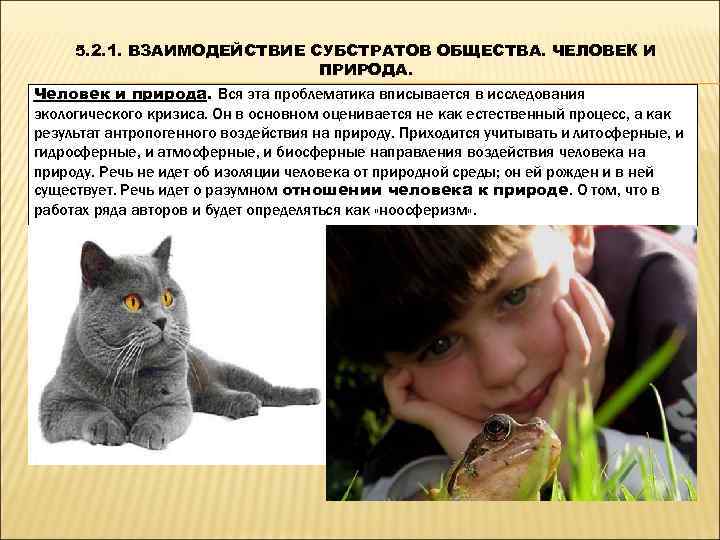  5. 2. 1. ВЗАИМОДЕЙСТВИЕ СУБСТРАТОВ ОБЩЕСТВА. ЧЕЛОВЕК И     ПРИРОДА.