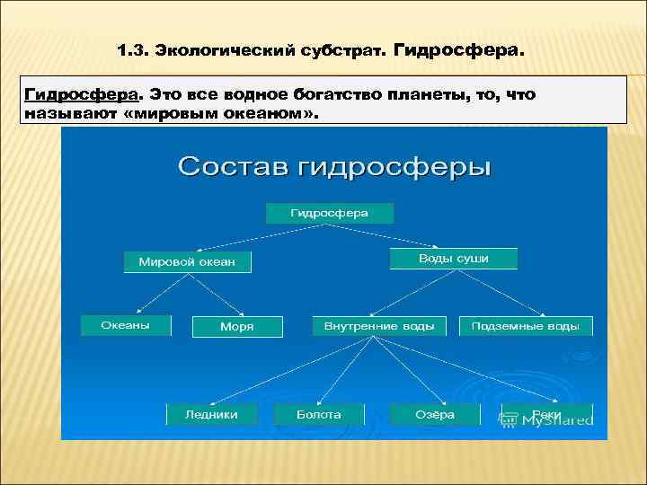    1. 3. Экологический субстрат. Гидросфера. Это все водное богатство планеты, то,