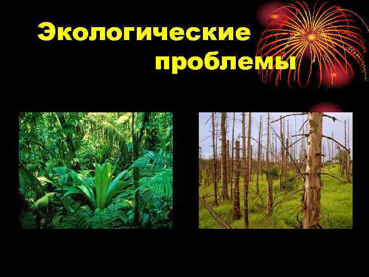 Экологические  проблемы 