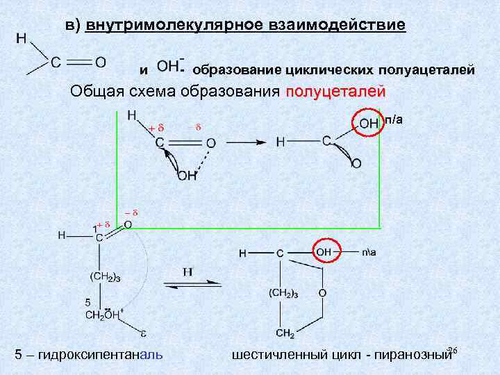   в) внутримолекулярное взаимодействие    и - образование циклических полуацеталей 