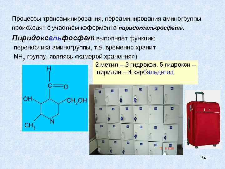 Процессы трансаминирования, переаминирования аминогруппы происходят с участием кофермента пиридоксальфосфата. Пиридоксальфосфат выполняет функцию переносчика аминогруппы,