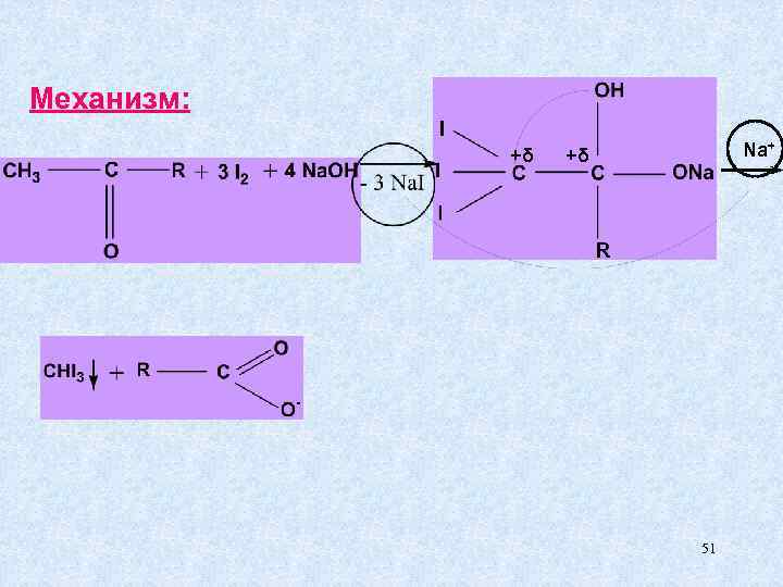 Механизм:   +δ  Na+      51 