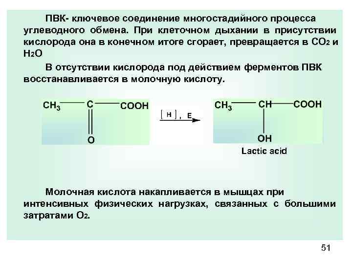  ПВК- ключевое соединение многостадийного процесса углеводного обмена. При клеточном дыхании в присутствии кислорода