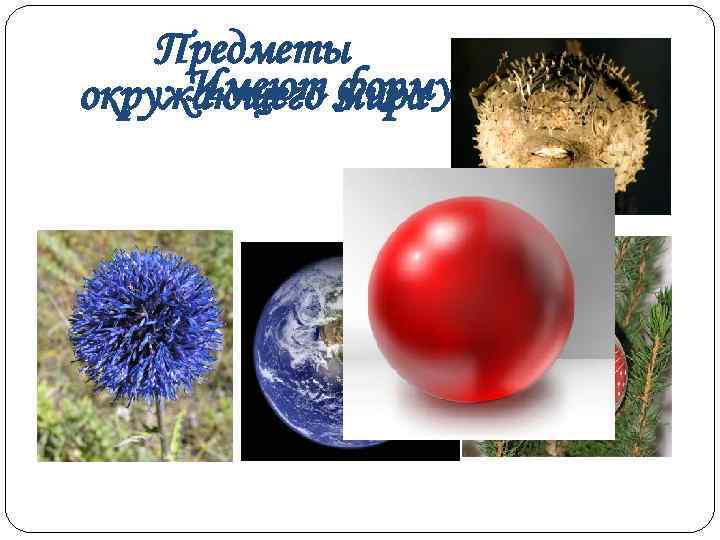   Предметы окружающего мира шара Имеют форму 