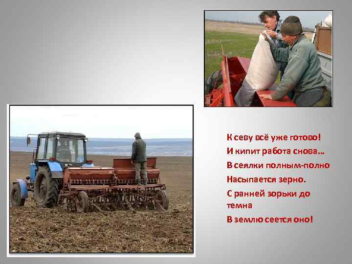 К севу всё уже готово! И кипит работа снова… В сеялки полным-полно Насыпается зерно.