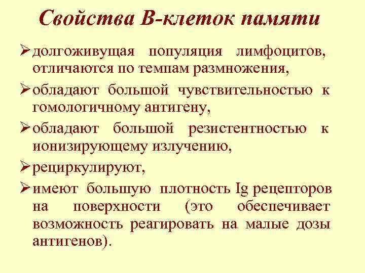  Свойства В-клеток памяти Ø долгоживущая популяция лимфоцитов,  отличаются по темпам размножения, Ø