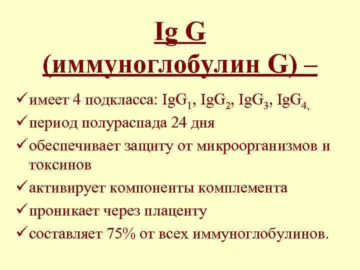   Ig G  (иммуноглобулин G) – ü имеет 4 подкласса: Ig. G