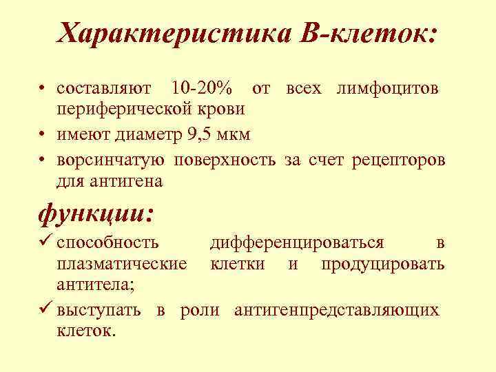  Характеристика В-клеток:  • составляют 10 -20% от всех лимфоцитов  периферической крови