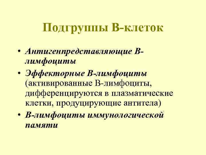  Подгруппы В-клеток • Антигенпредставляющие В-  лимфоциты • Эффекторные В-лимфоциты  (активированные В-лимфоциты,