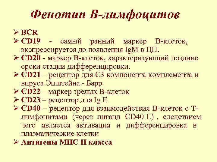   Фенотип В-лимфоцитов Ø BCR Ø CD 19 - самый ранний маркер В-клеток,