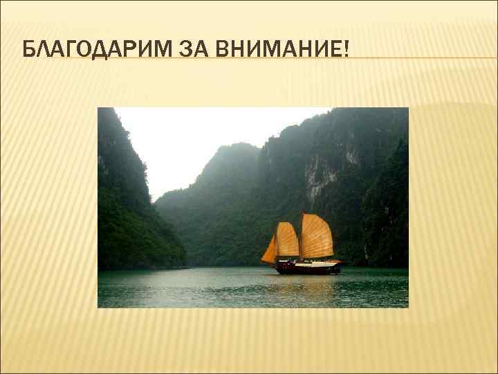 БЛАГОДАРИМ ЗА ВНИМАНИЕ! 