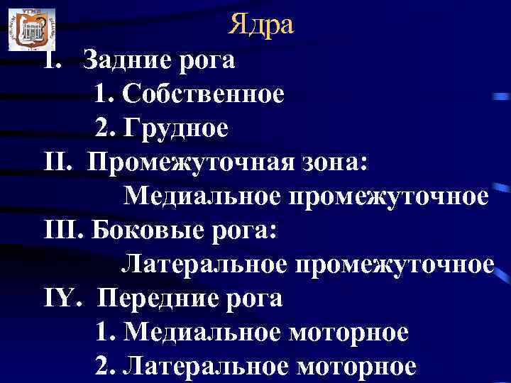    Ядра I. Задние рога 1. Собственное 2. Грудное II. Промежуточная зона: