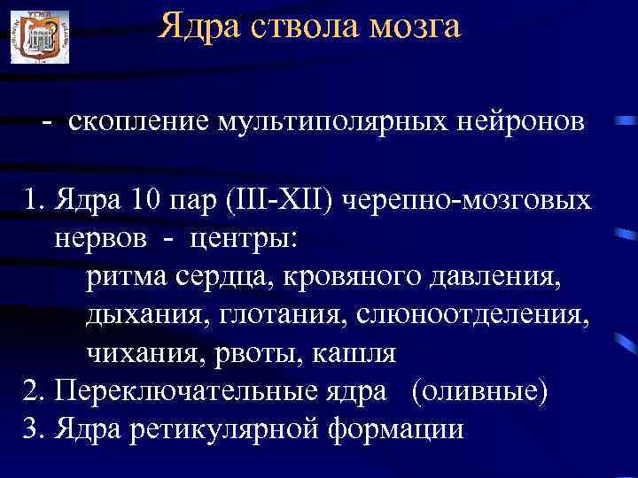    Ядра ствола мозга  - скопление мультиполярных нейронов 1. Ядра 10