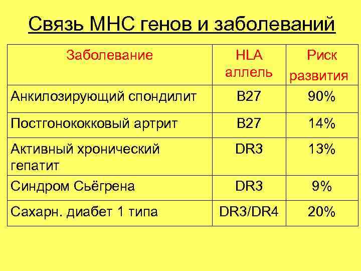 Связь МНС генов и заболеваний Заболевание HLA Риск Связь МНС генов и заболеваний Заболевание HLA Риск