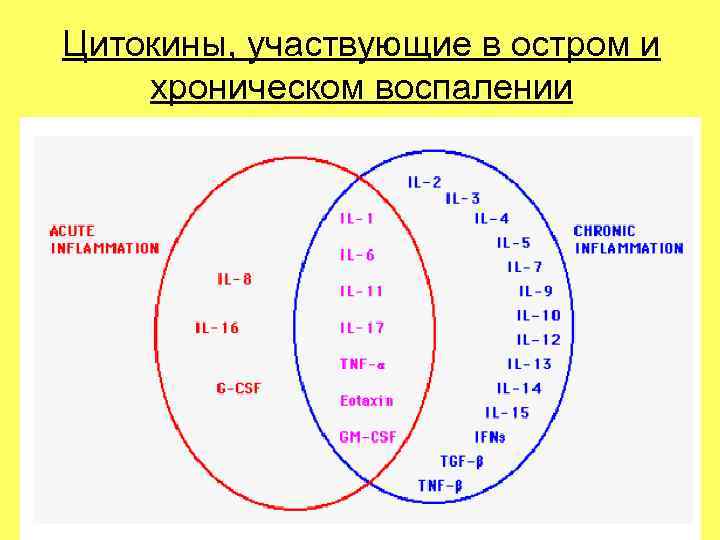 Цитокины, участвующие в остром и хроническом воспалении Цитокины, участвующие в остром и хроническом воспалении