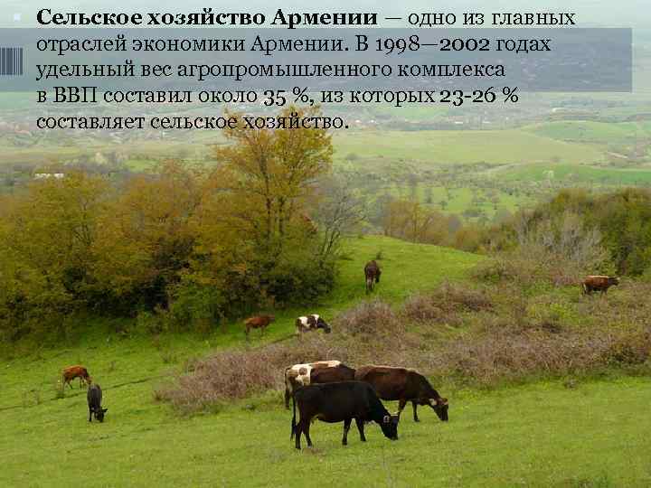  Сельское хозяйство Армении — одно из главных  отраслей экономики Армении. В 1998—