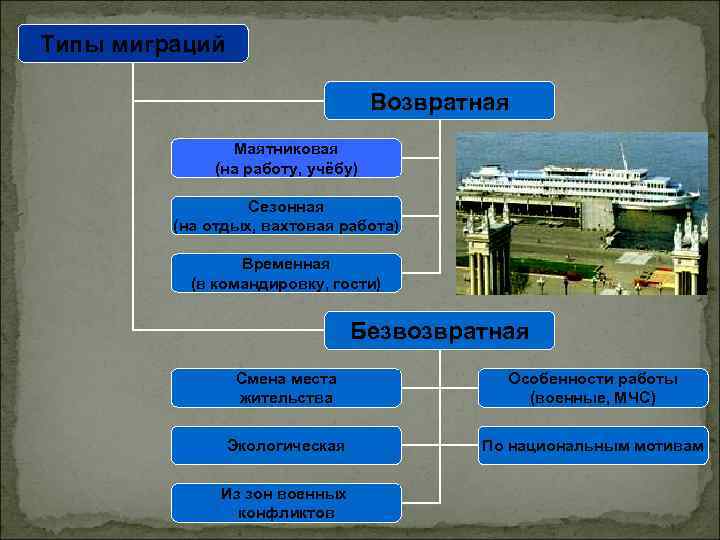 Виды миграции картинки