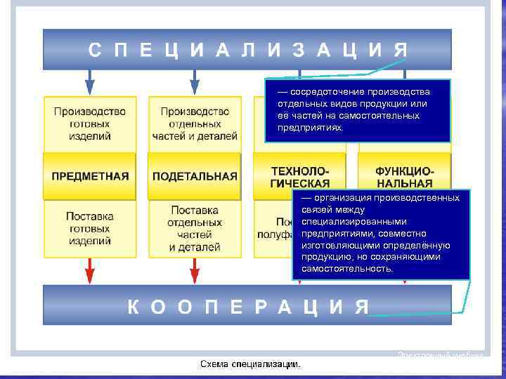 Состав машиностроительного комплекса. Типы предприятий машиностроительного комплекса. Виды специализации машиностроения. Отдельные виды товаров. Вывод машиностроительного комплекса.