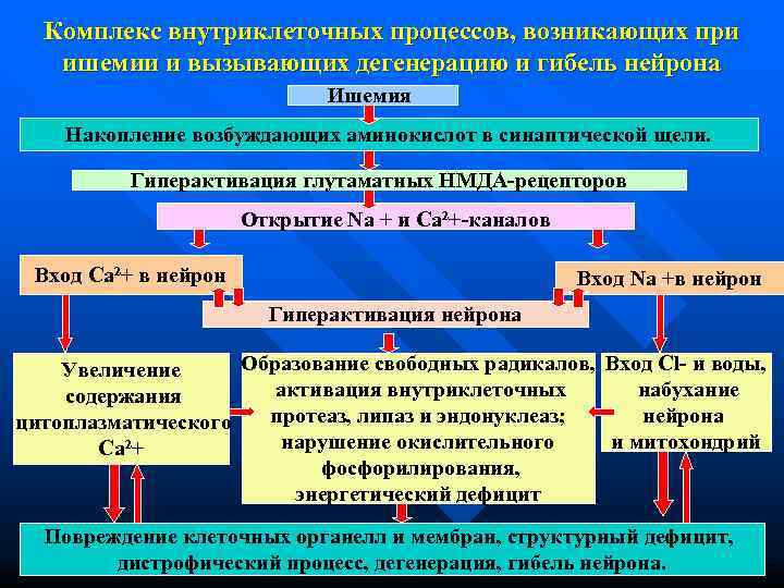  Комплекс внутриклеточных процессов, возникающих при  ишемии и вызывающих дегенерацию и гибель нейрона