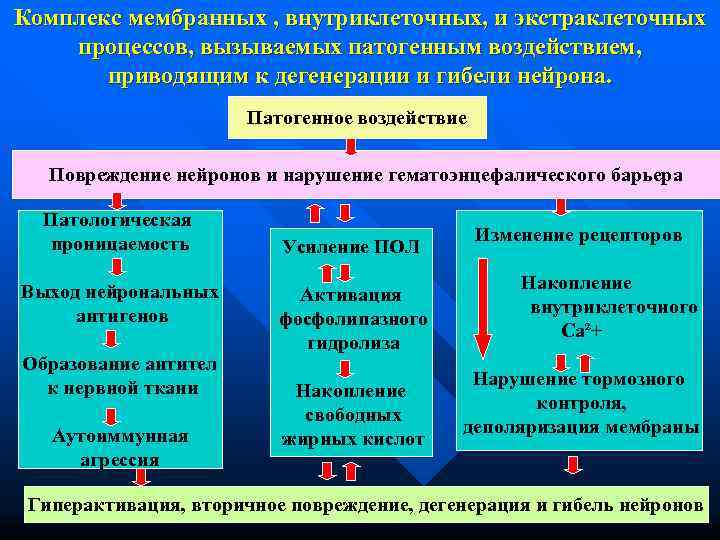 Комплекс мембранных , внутриклеточных, и экстраклеточных процессов, вызываемых патогенным воздействием,   приводящим к