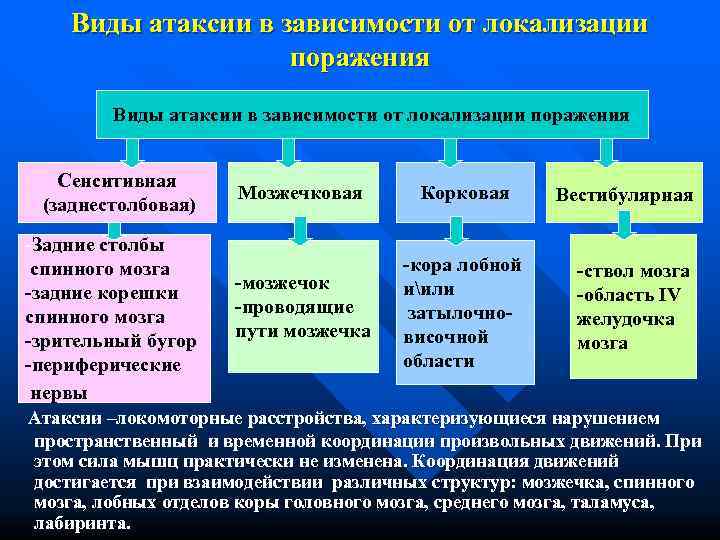   Виды атаксии в зависимости от локализации     поражения 