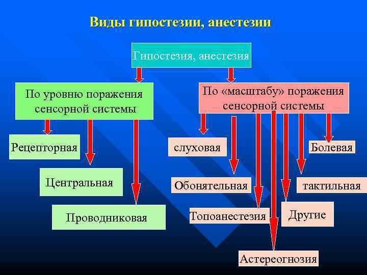    Виды гипостезии, анестезии     Гипостезия, анестезия По уровню