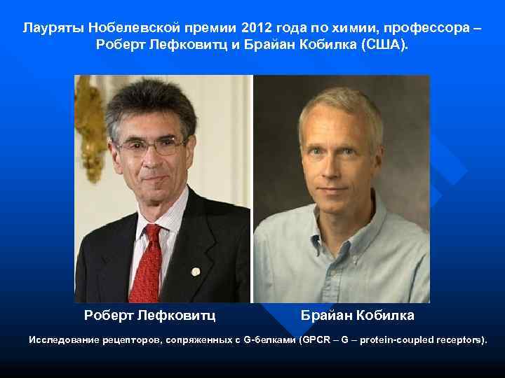 Лауряты Нобелевской премии 2012 года по химии, профессора –   Роберт Лефковитц и