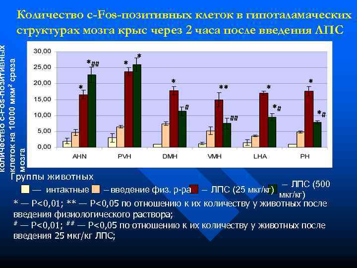    Количество c-Fos-позитивных клеток в гипоталамаческих   структурах мозга крыс через