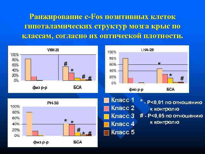  Ранжирование c-Fos позитивных клеток гипоталамических структур мозга крыс по классам, согласно их оптической