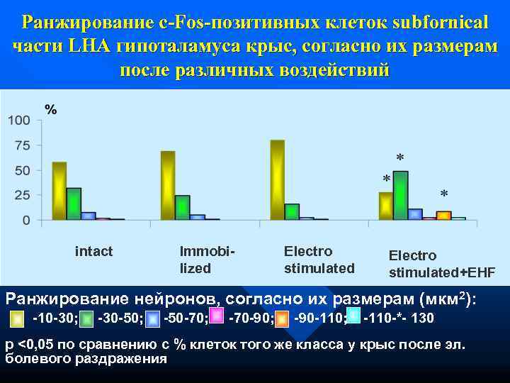  Ранжирование c-Fos-позитивных клеток subfornical части LHA гипоталамуса крыс, согласно их размерам  после