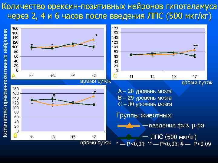 Количество орексин-позитивных нейронов гипоталамуса через 2, 4 и 6 часов после введения ЛПС (500