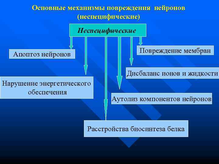   Основные механизмы повреждения нейронов    (неспецифические)    Неспецифические