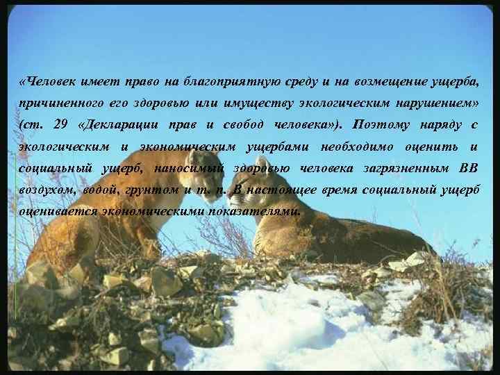  «Человек имеет право на благоприятную среду и на возмещение ущерба, причиненного его здоровью