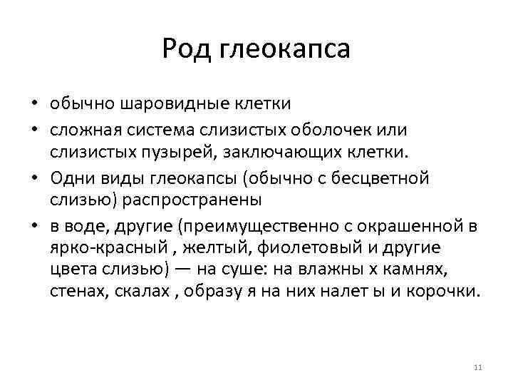     Род глеокапса • обычно шаровидные клетки  • сложная система