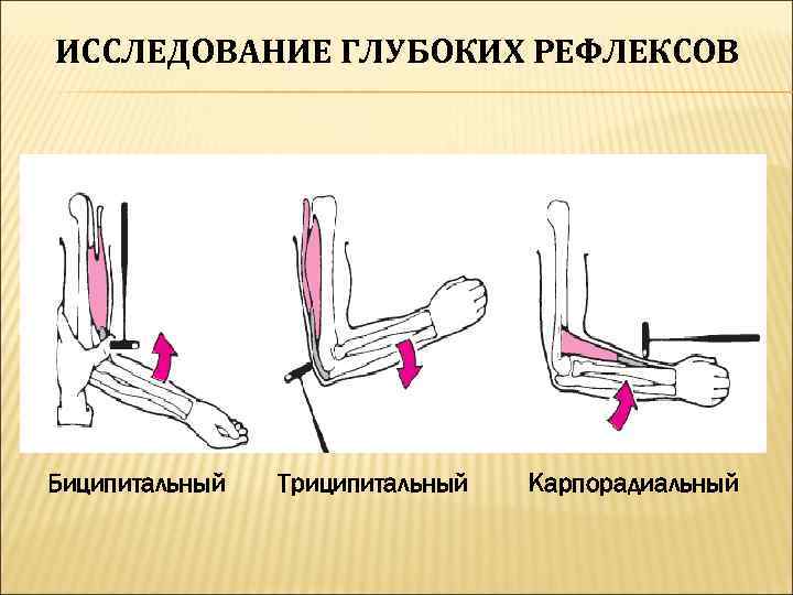 Глубокое исследование