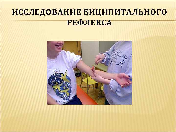 ИССЛЕДОВАНИЕ БИЦИПИТАЛЬНОГО  РЕФЛЕКСА 
