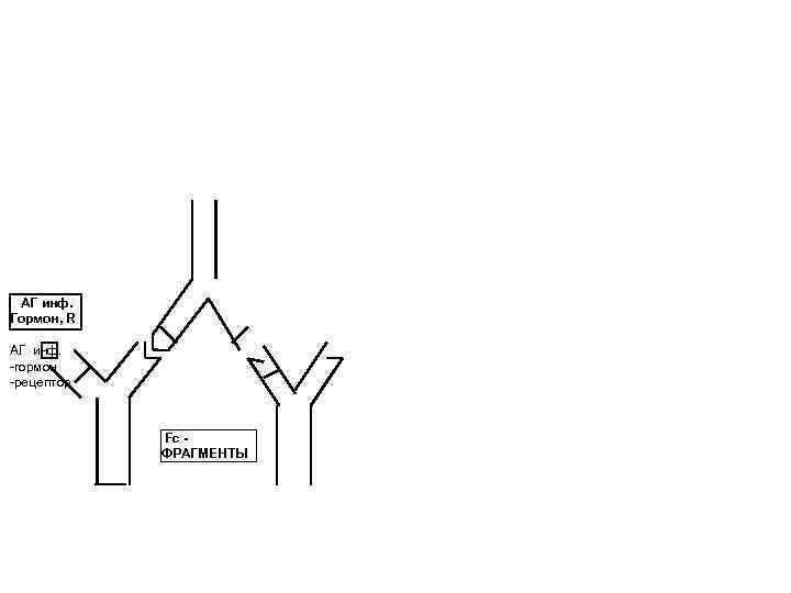  АГ инф. Гормон, R АГ инф. -гормон -рецептор    Fc -