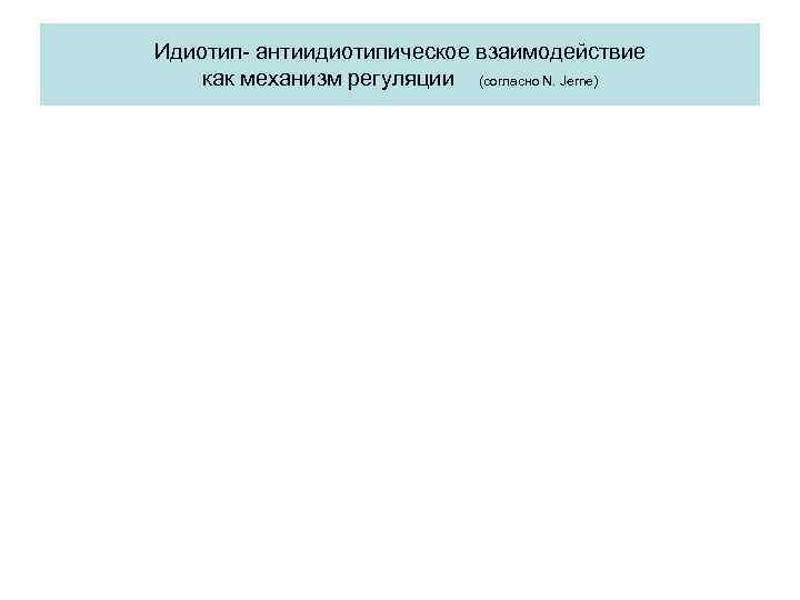 Идиотип- антиидиотипическое взаимодействие как механизм регуляции (согласно N. Jerne) 