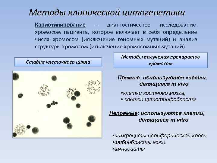  Методы клинической цитогенетики  Кариотипирование –  диагностическое исследование  хромосом пациента, которое