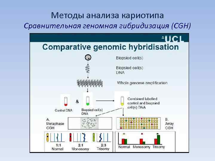  Методы анализа кариотипа Сравнительная геномная гибридизация (CGH) 